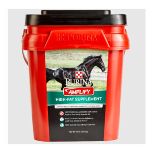Amplify Equine Bucket