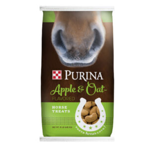 Apple and Oat Treats