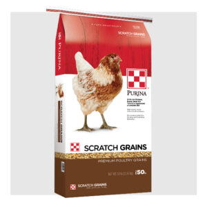 Scratch Grains Sunfresh