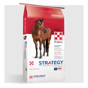 Strategy Professional GX