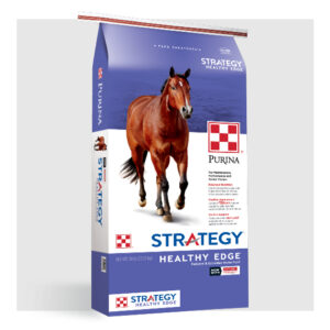 Strategy Healthy Edge