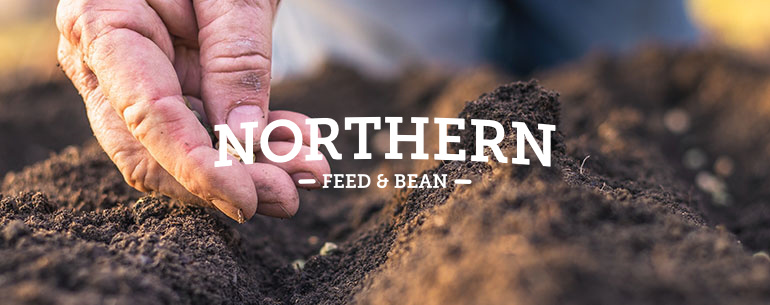 How To Eat Beans For Every Meal