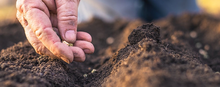Kicking Off 2022 With Beans!