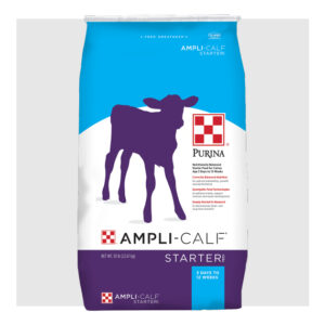 Ampli-Calf Starter