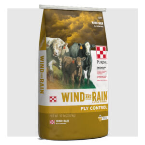 Wind & Rain Storm All Season