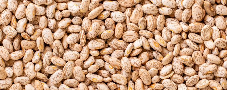 Pinto Beans reduce Non-HDL Cholesterol Levels in Hamsters on a High-Saturated Fat Diet and Modulate Genes Linked to Cholesterol Regulation