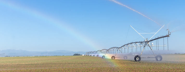 Colorado Bean Planting Season in Full Swing