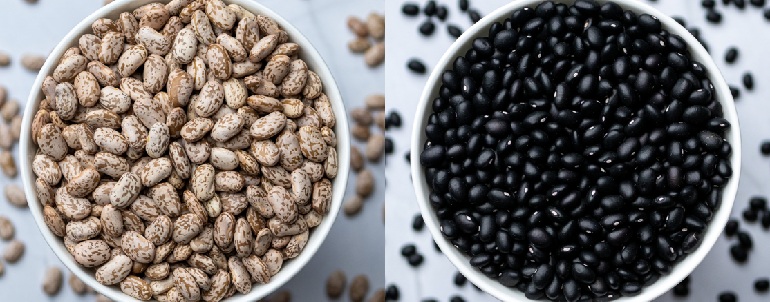 Pinto vs. Black Beans: Which One is Healthier?