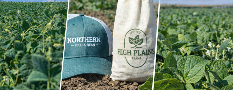 Why 2026 Is Being Called the “Year of the Bean” — And Why It Matters to Your Table